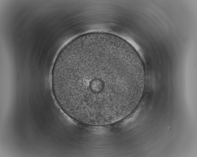 X0000111460807200908031338