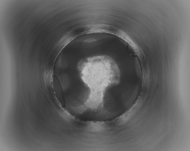 X0000111460809200908031338