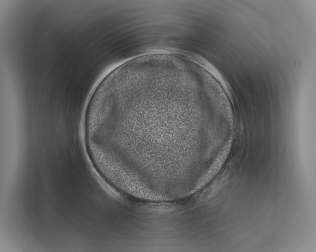 X0000111460811200908031338