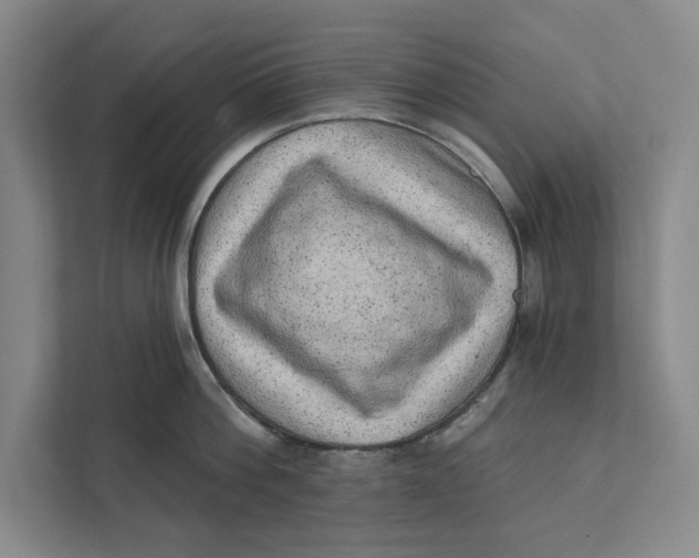 X0000111460812200908031338
