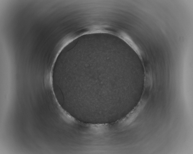 X0000111460813200908031338