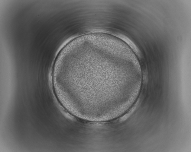 X0000111460814200908031338
