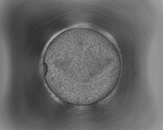 X0000111460816200908031338