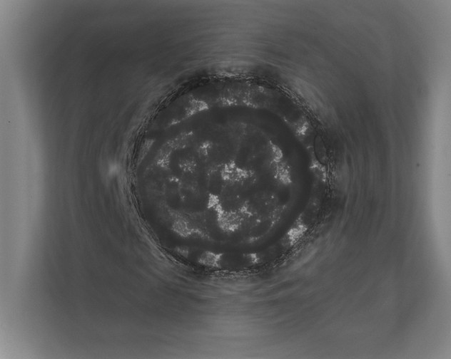 X0000111460817200908031337