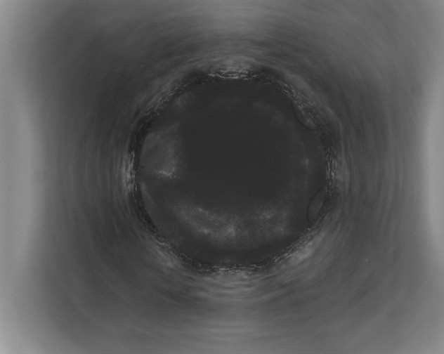X0000111460818200908031337