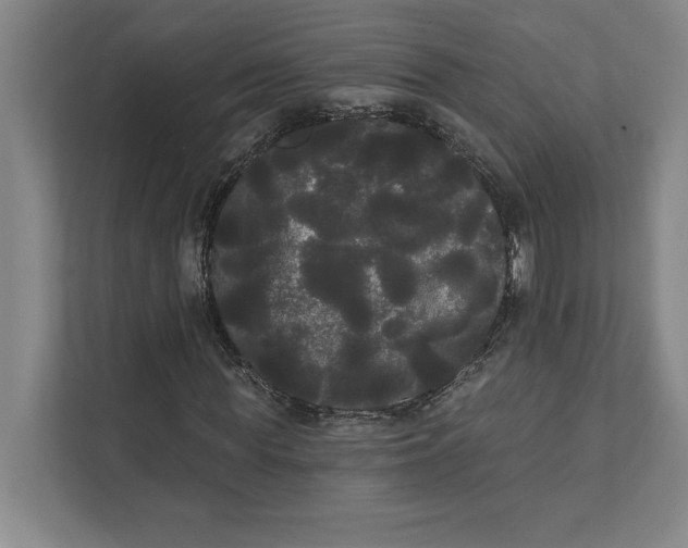 X0000111460819200908031337