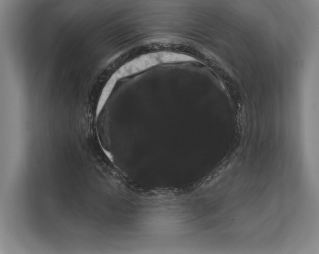 X0000111460822200908031338