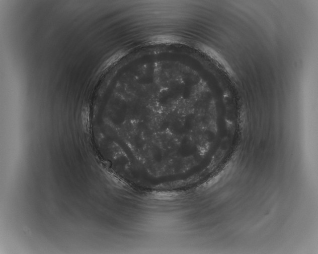 X0000111460825200908031338