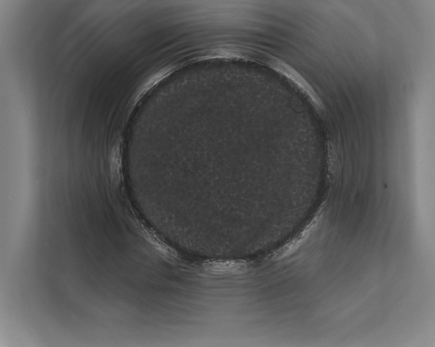 X0000111460826200908031338