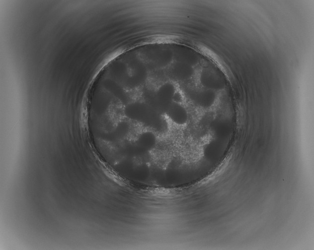 X0000111460827200908031338