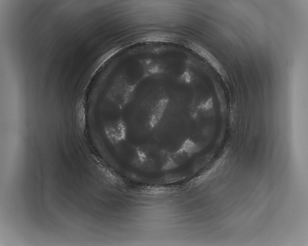 X0000111460829200908031338