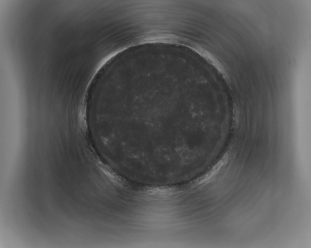 X0000111460830200908031338