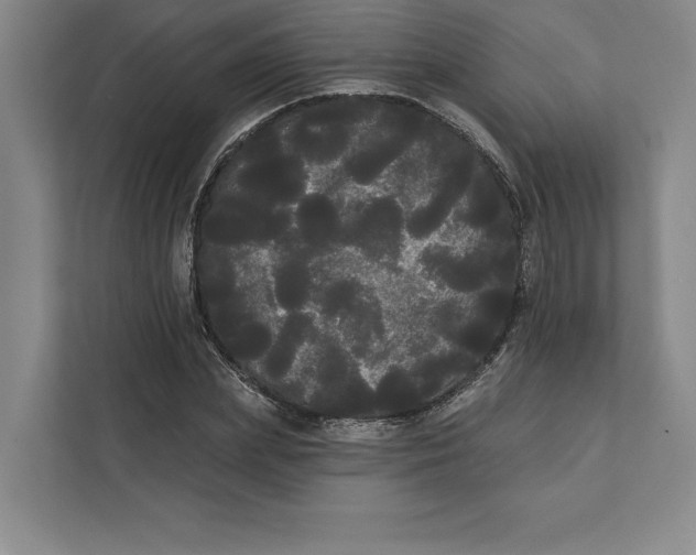 X0000111460831200908031338