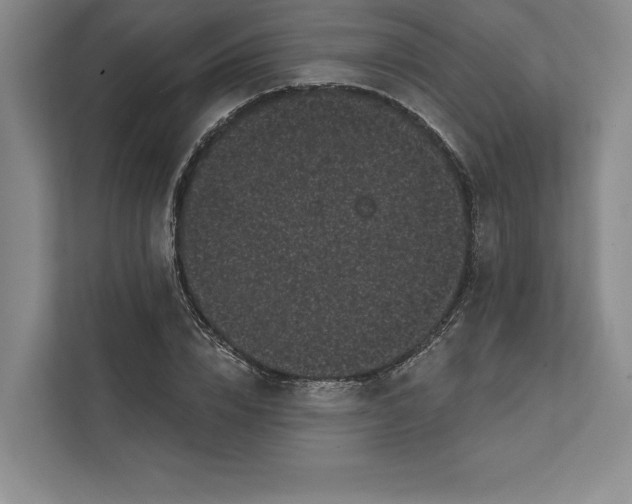 X0000111460832200908031338