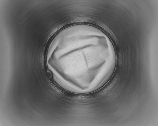 X0000111460834200908031338