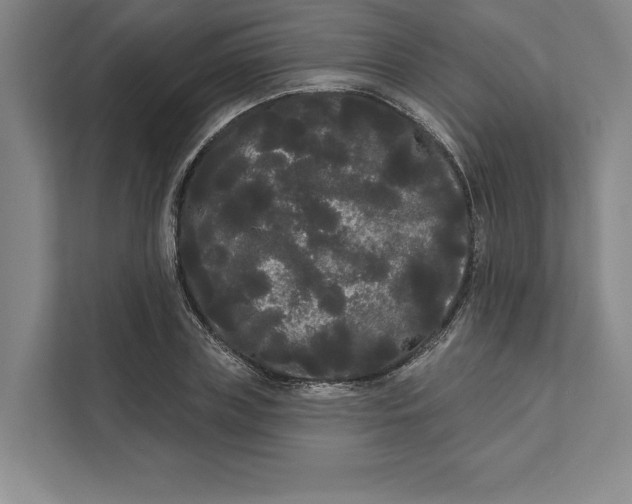 X0000111460835200908031338