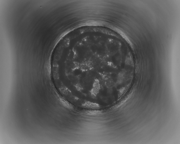 X0000111460837200908031338