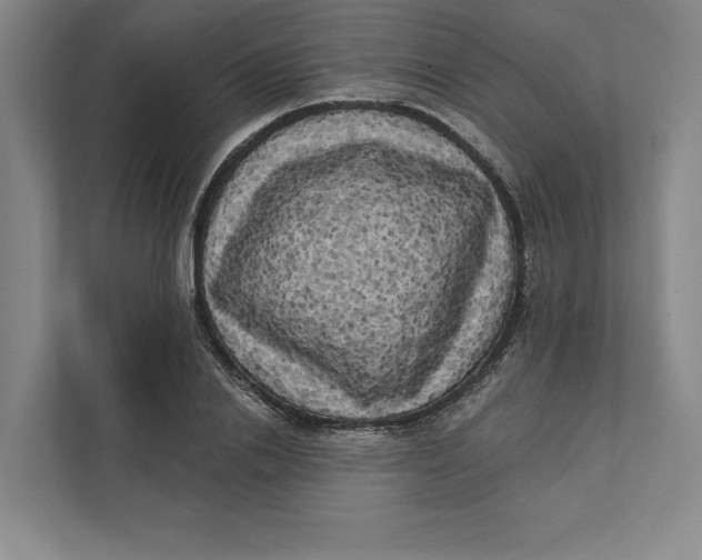 X0000111460838200908031338