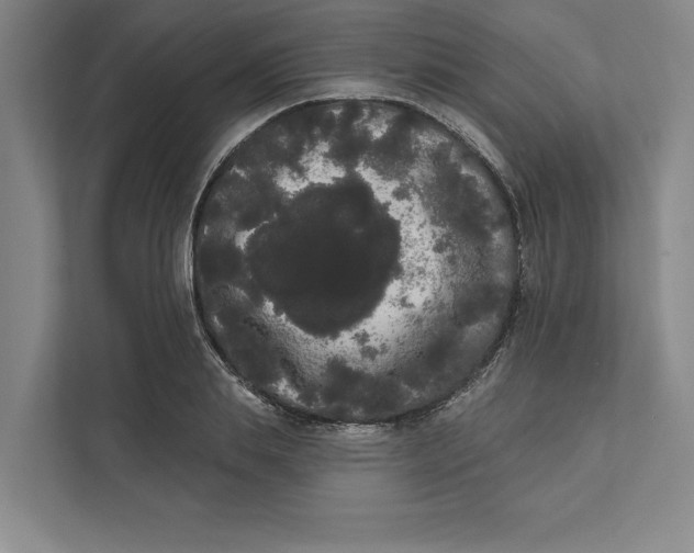 X0000111460839200908031338