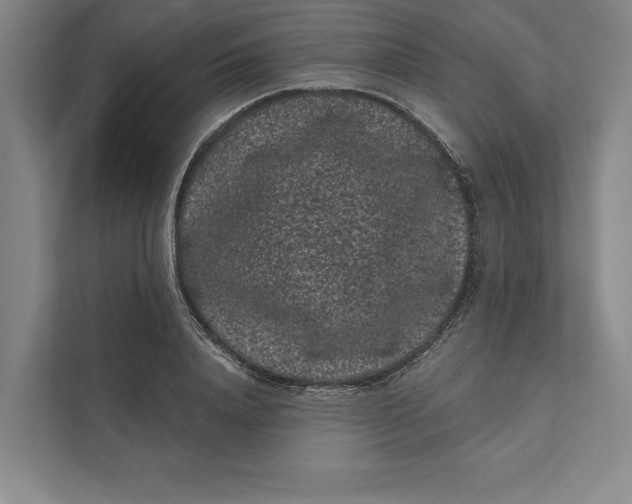 X0000111460840200908031338