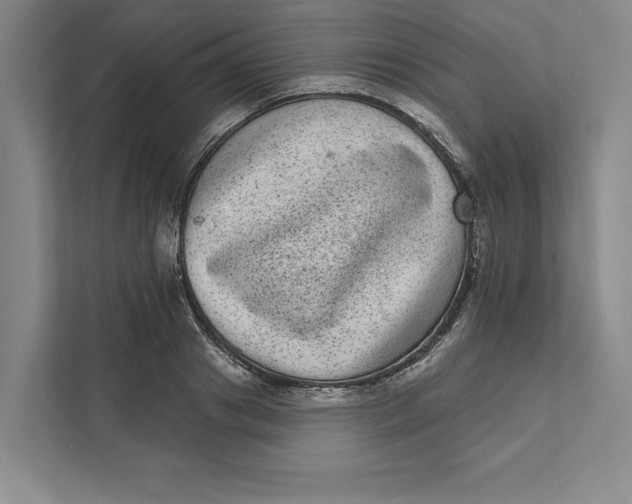 X0000111460841200908031338