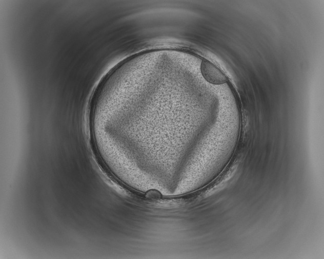 X0000111460843200908031338