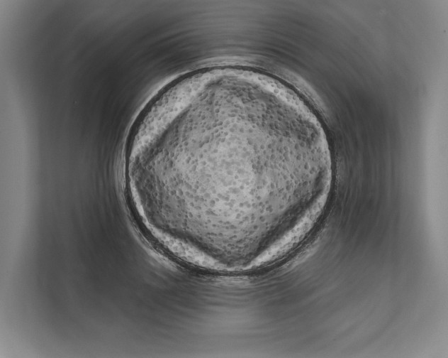 X0000111460844200908031338