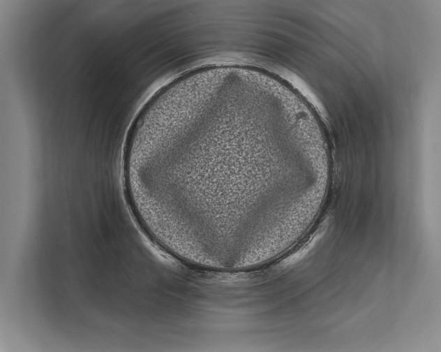 X0000111460845200908031338