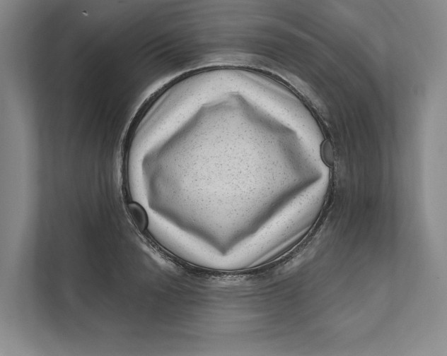 X0000111460846200908031338