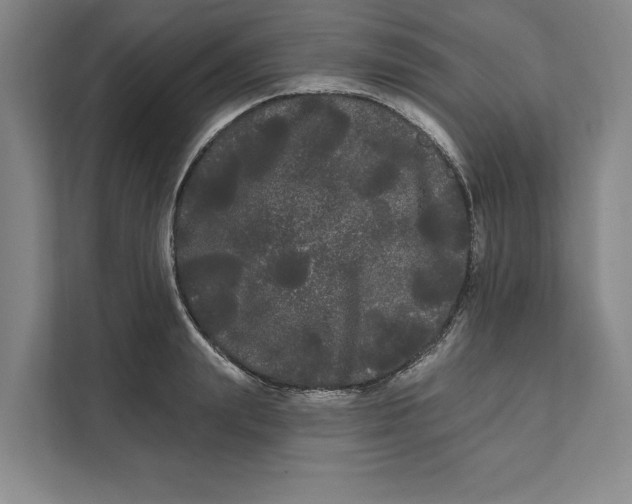 X0000111460847200908031338