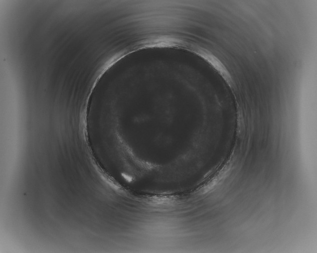 X0000111460850200908031338
