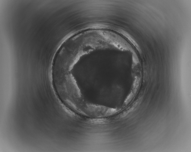 X0000111460853200908031338