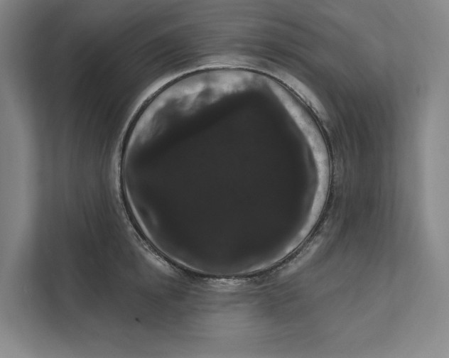 X0000111460854200908031338