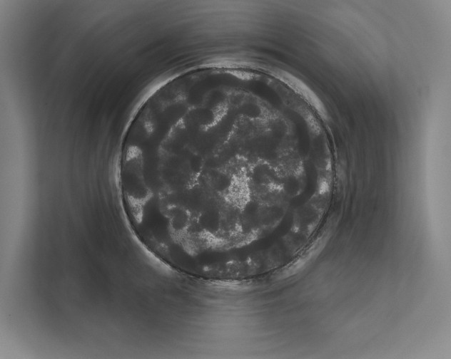 X0000111460855200908031338
