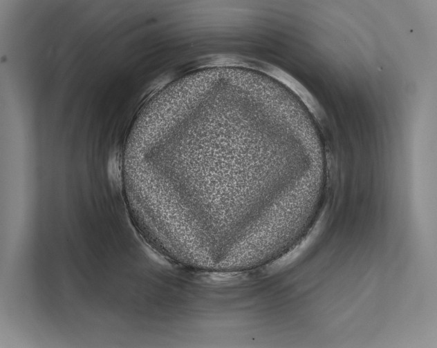 X0000111460857200908031338