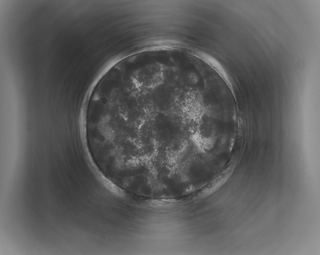 X0000111460859200908031338