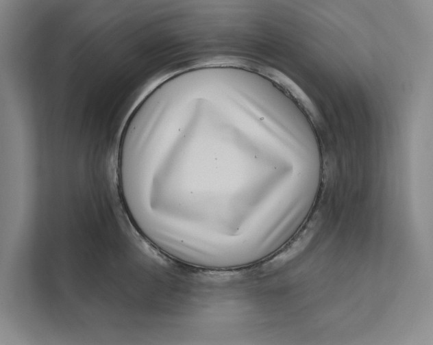 X0000111460860200908031338