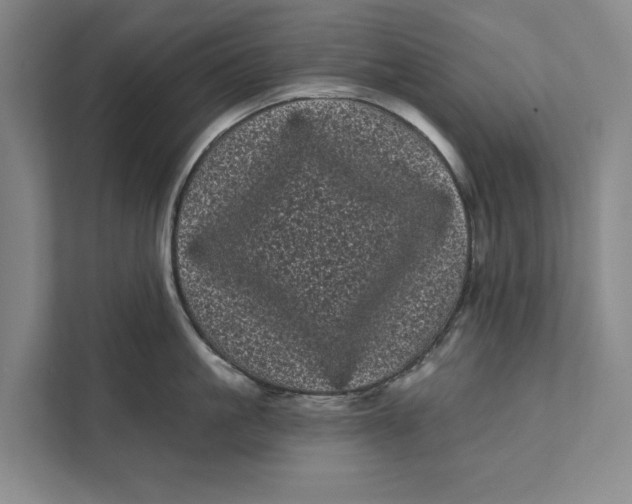 X0000111460861200908031338