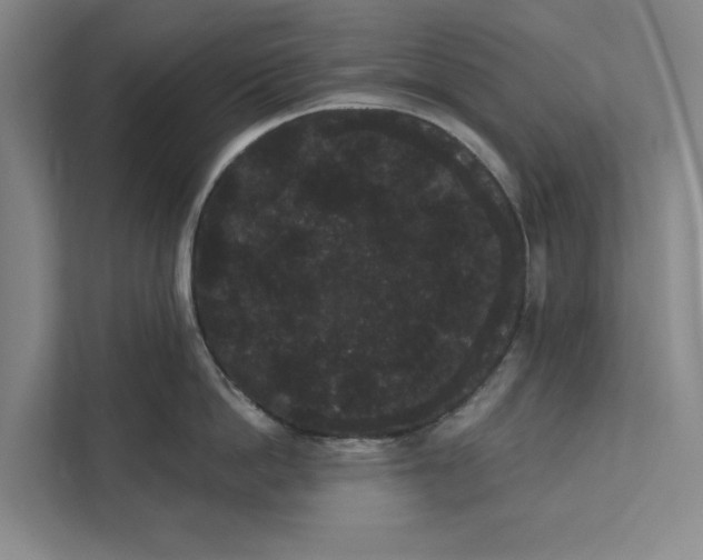 X0000111460862200908031338