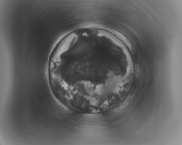 X0000111460863200908031338