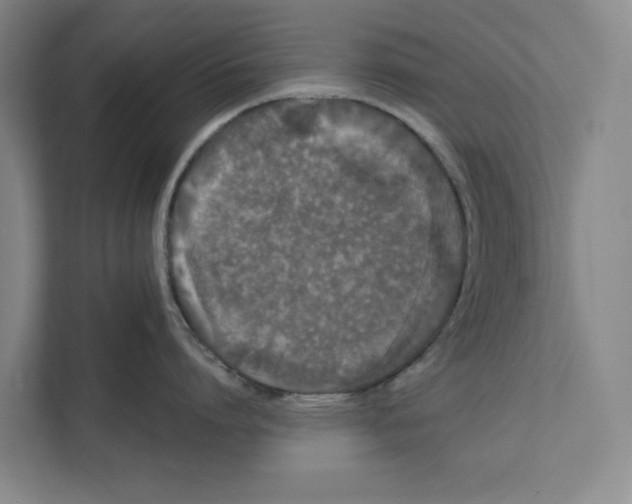 X0000111460864200908031338