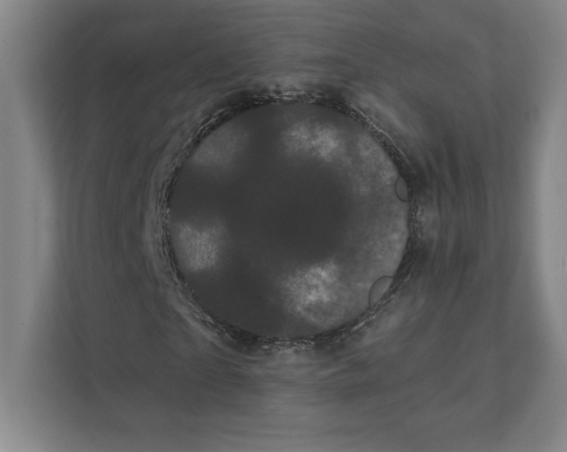 X0000111460865200908031337
