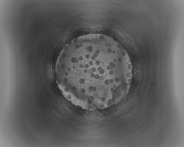 X0000111460866200908031337