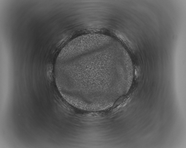 X0000111460867200908031337
