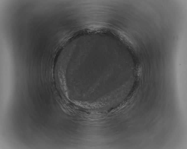 X0000111460868200908031337
