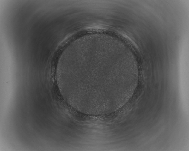 X0000111460870200908031337