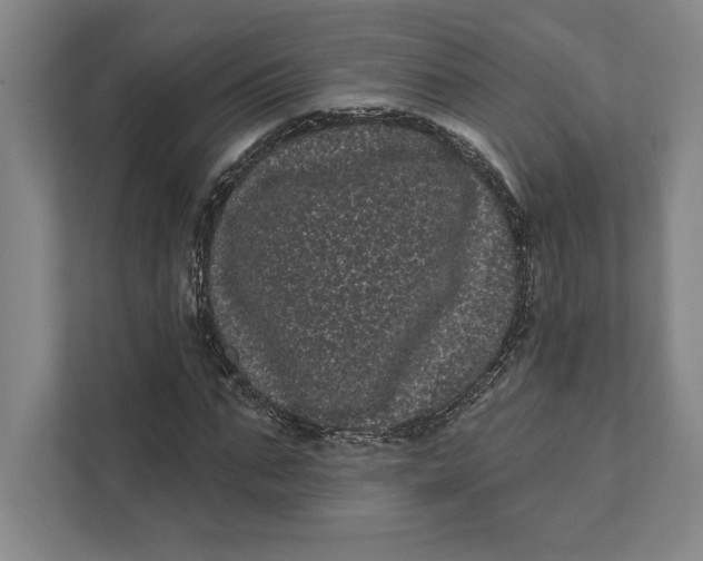 X0000111460871200908031337