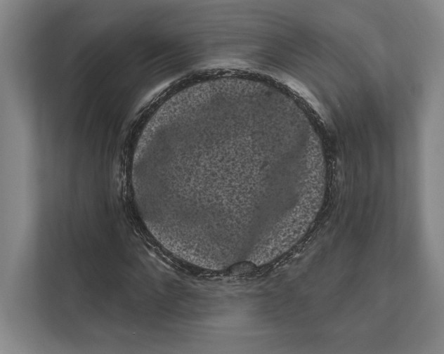 X0000111460872200908031337