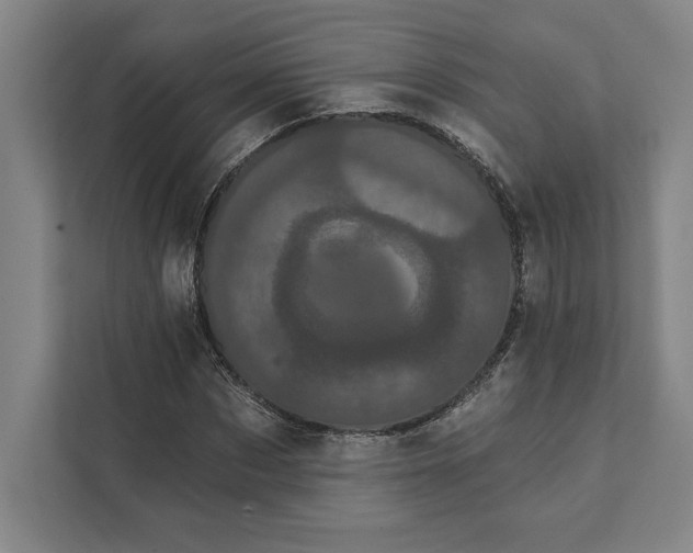 X0000111460873200908031337