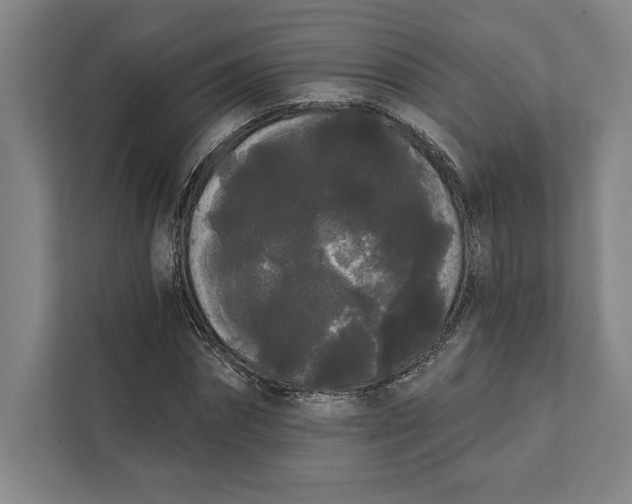 X0000111460874200908031337